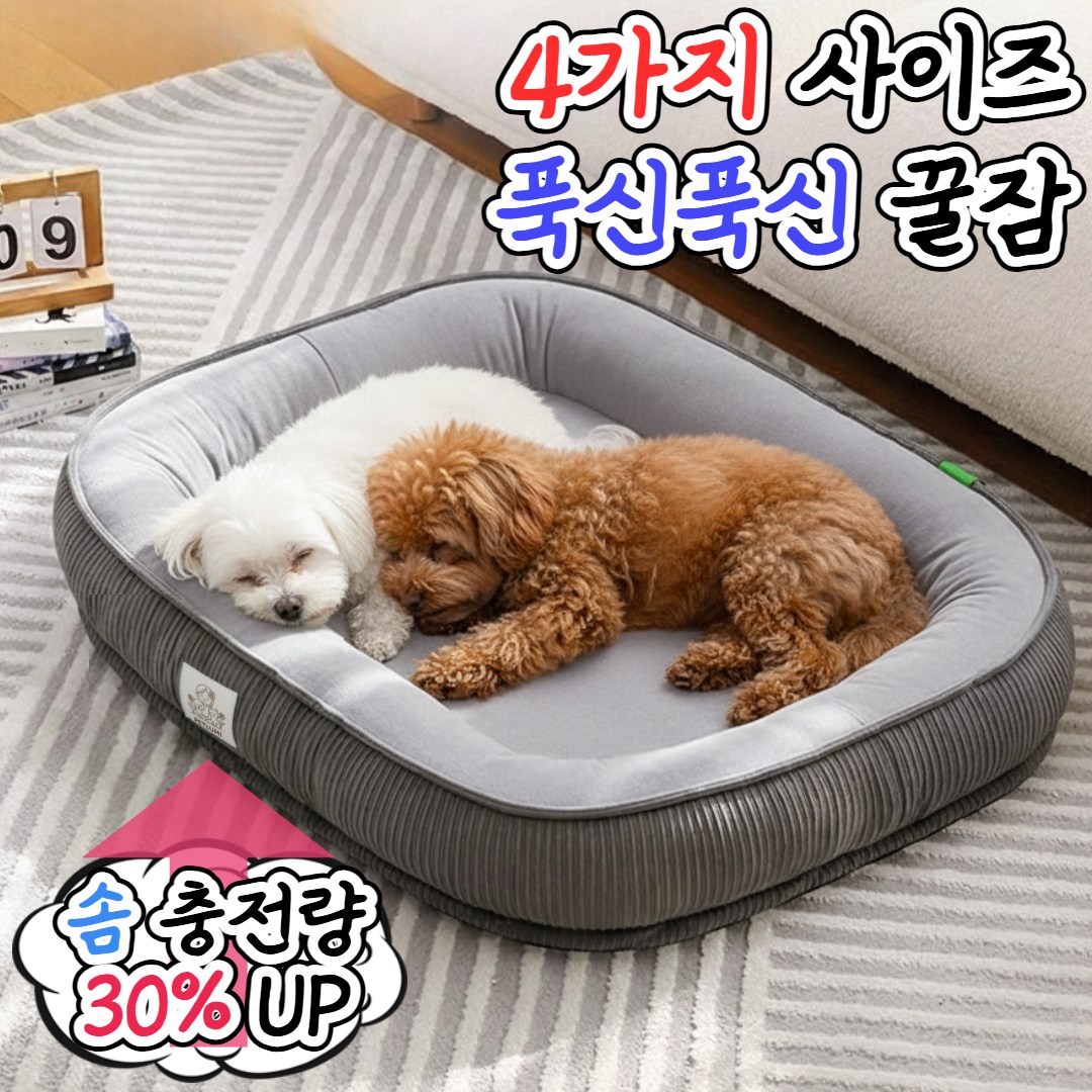 추천 강아지방석 10종 지금 바로 만나보세요!